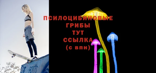 спиды Михайлов