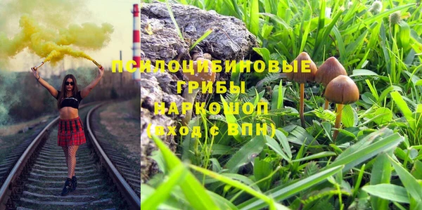 амф Михайловск